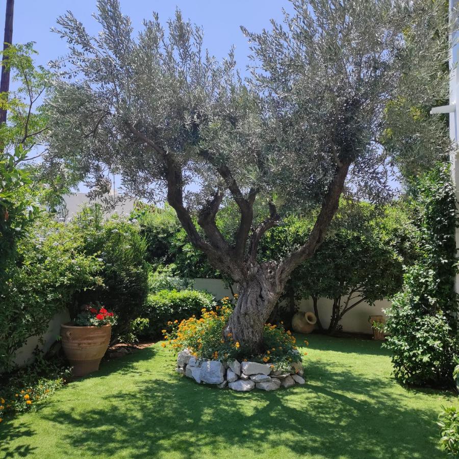 Porto Hydra - Villa Mirani Ermioni Eksteriør billede
