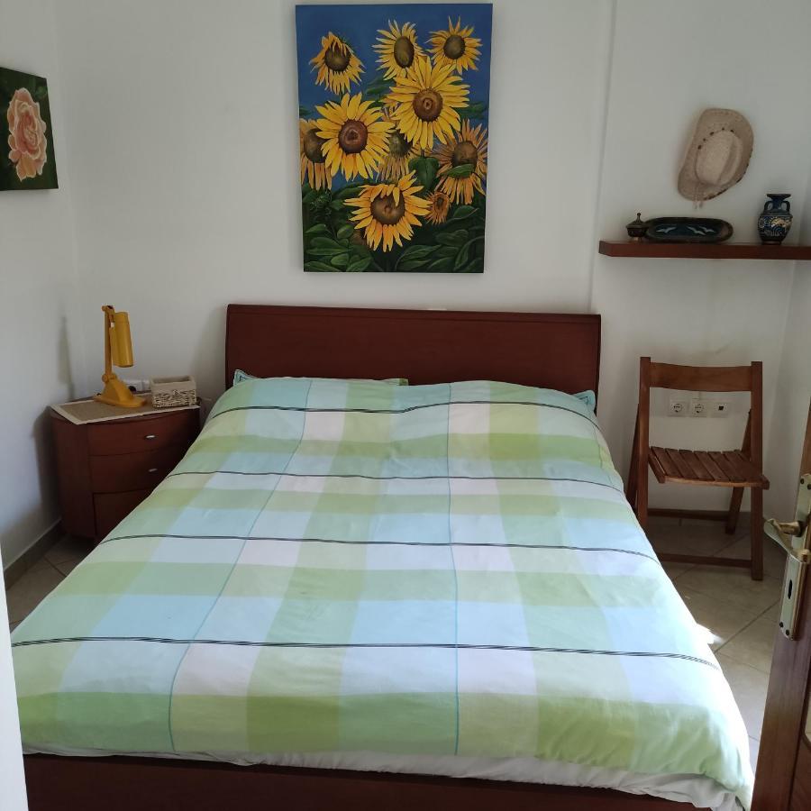 Porto Hydra - Villa Mirani Ermioni Eksteriør billede